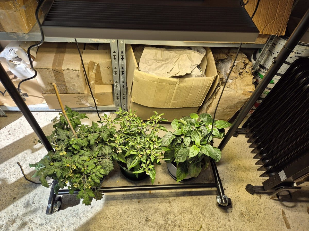Example of how to set up grow lights using the Viparspectra XS1500 Pro.