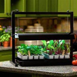 UK indoor gardening setup with LED grow lights and herbs