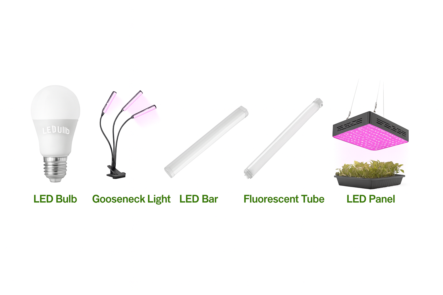 LED bulb, gooseneck light, LED bar, fluorescent tube, and LED panel lined up on white background with green text labels