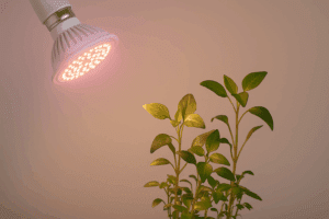 Full-spectrum LED grow light bulb, one of the best cheap grow lights UK