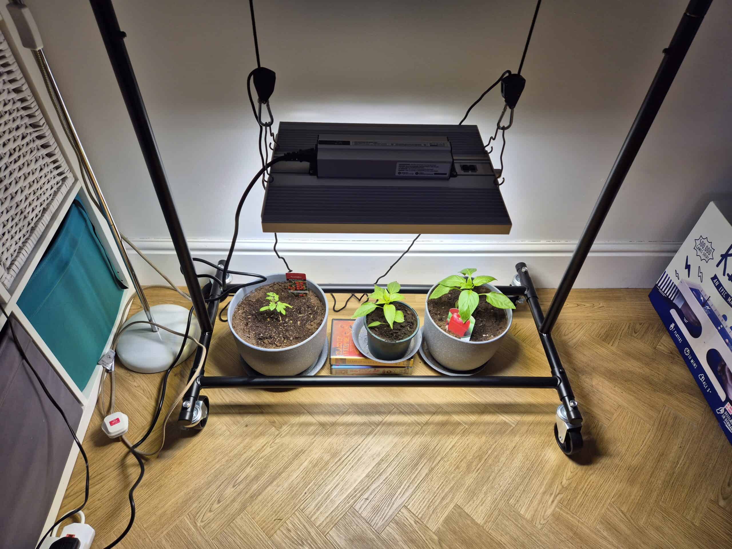 Viparspectra XS1500 Pro LED grow light setup for indoor plants in UK home