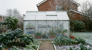 Bubble wrap is a common form of greenhouse insulation in the UK, helping reduce heat loss during cold winter nights.