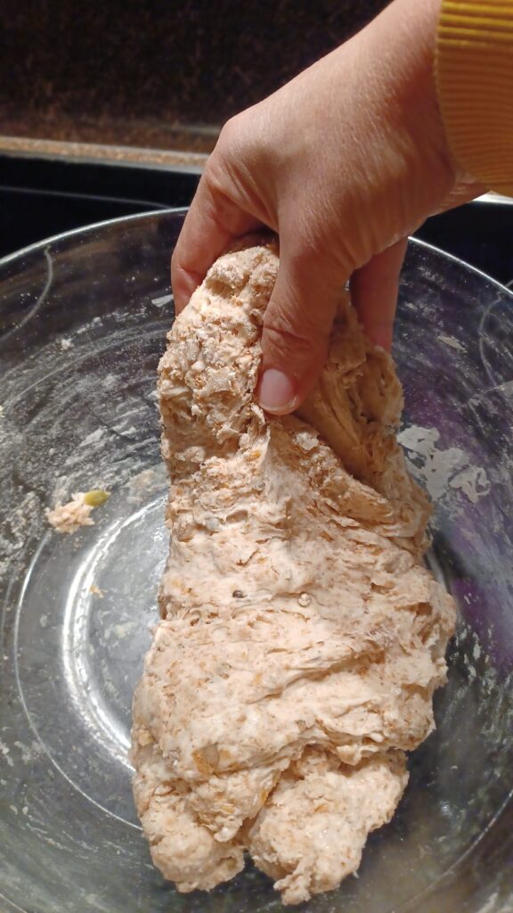 Stretching sourdough dough upward during the stretch and fold stage