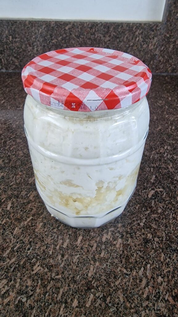 How to make milk kefir – milk separating into curds and whey in a jar