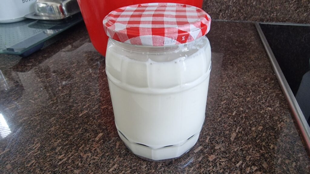 Milk kefir grains covered with fresh milk in a glass jar
