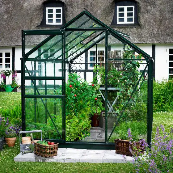 Halls 6x8 greenhouse with toughened glass and green frame in UK garden