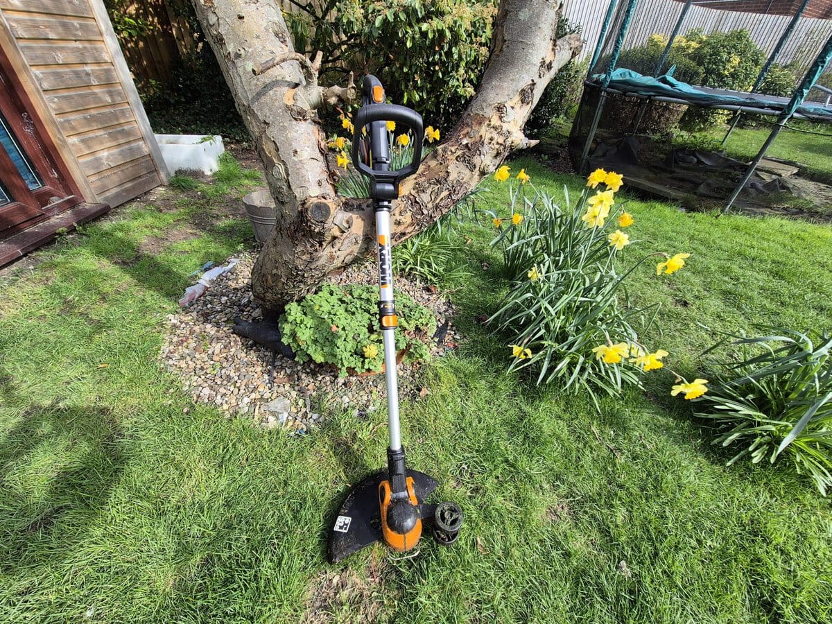 Best cordless strimmers UK – Worx WG163E used for edging around a garden tree and flower bed