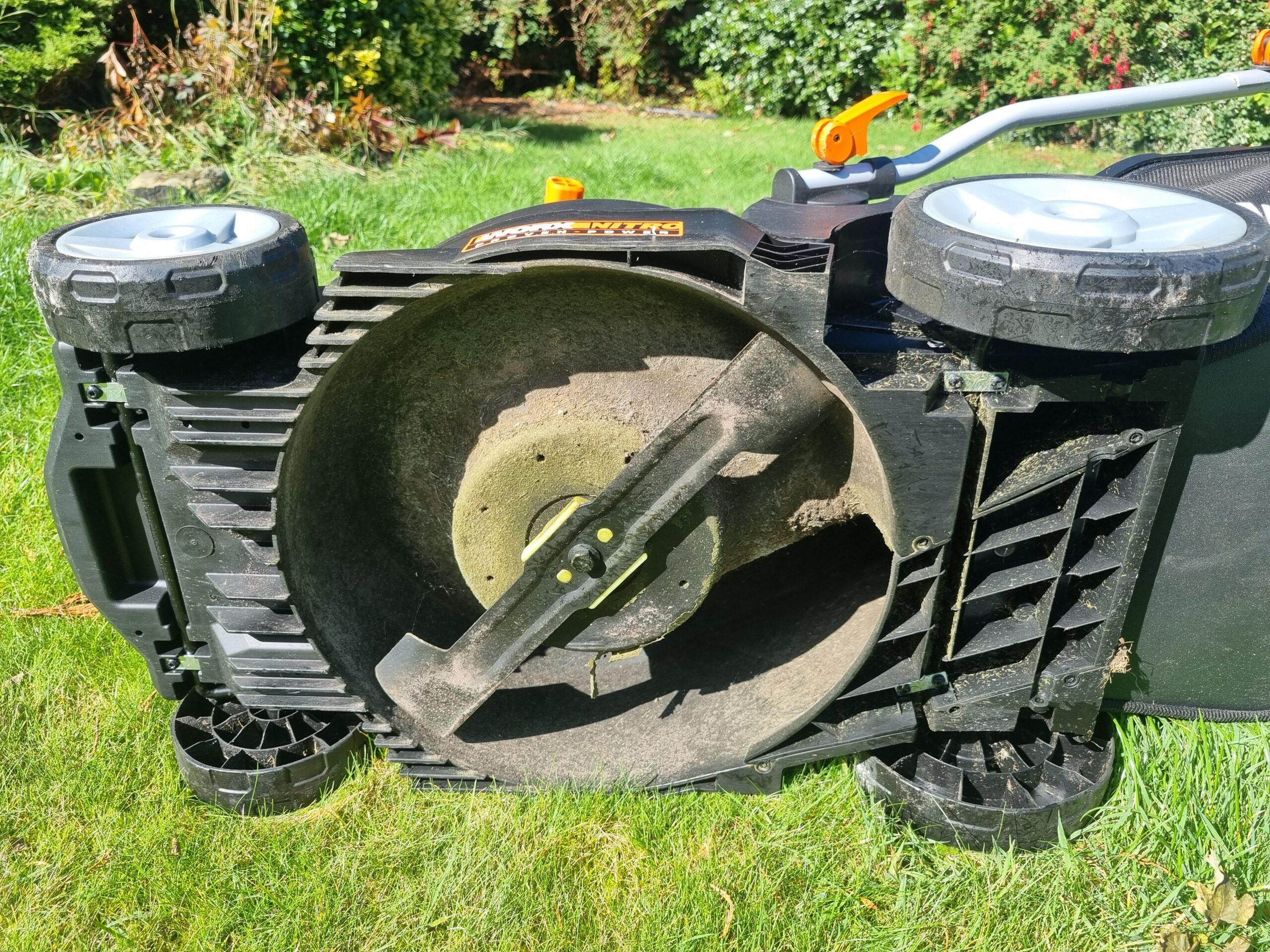 Underside of a cordless lawn mower showing grass build-up before maintenance cleaning