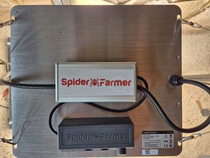 Mars Hydro vs Spider Farmer LED grow lights comparison showing full spectrum indoor lighting setup