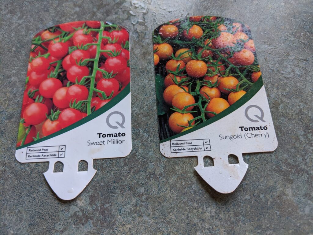 Best tomato varieties for starting early in a mini greenhouse in the UK including Sungold and Sweet Million