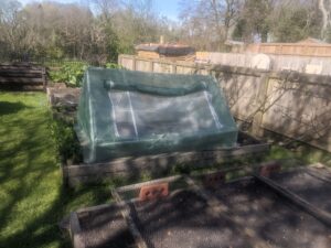 Mini greenhouse set up on raised bed in UK garden.
