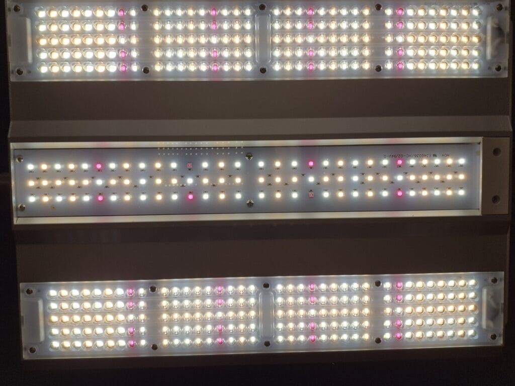 Mars Hydro vs Spider Farmer LED grow lights comparison showing full spectrum indoor lighting setup