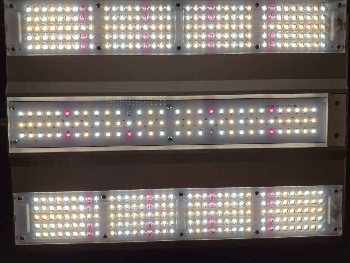 Mars Hydro vs Spider Farmer LED grow lights comparison showing full spectrum indoor lighting setup