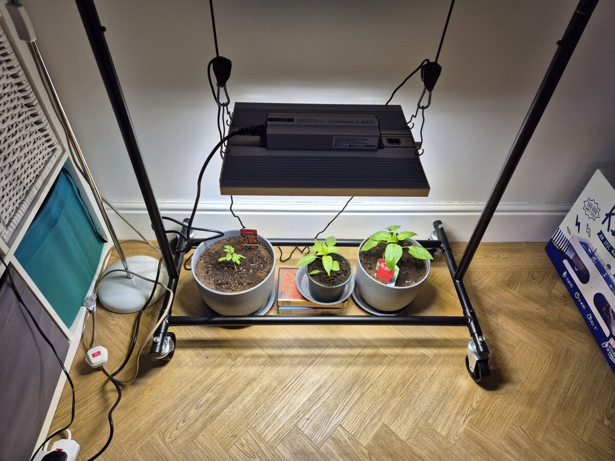 ViparSpectra XS1500 Pro review indoor setup with tomato and chilli plants under LED grow light