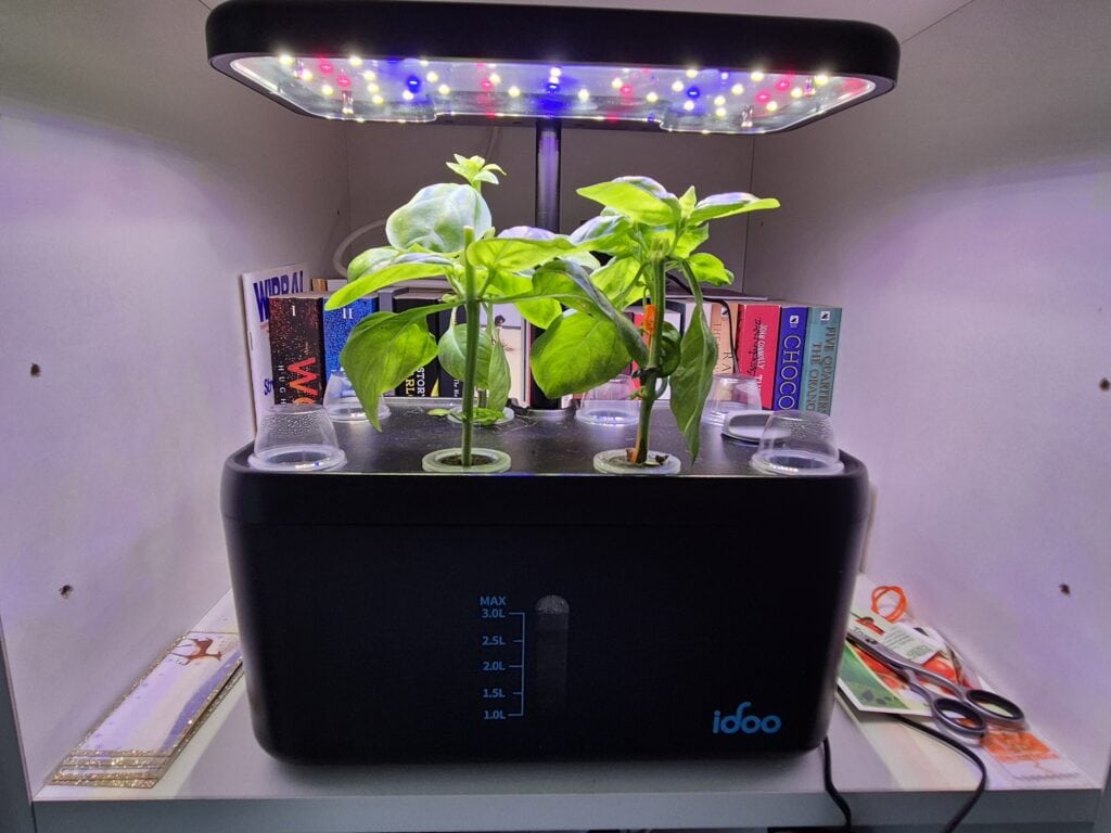 iDOO hydroponics growing system review with basil growing in the 8-pod indoor garden