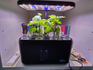 iDOO hydroponics growing system review with basil growing in the 8-pod indoor garden