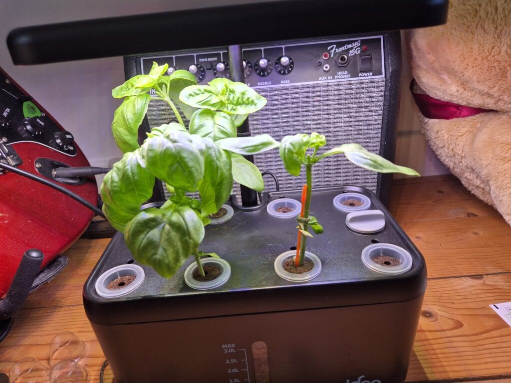 iDOO hydroponics growing system review with basil growing in the 8-pod indoor garden