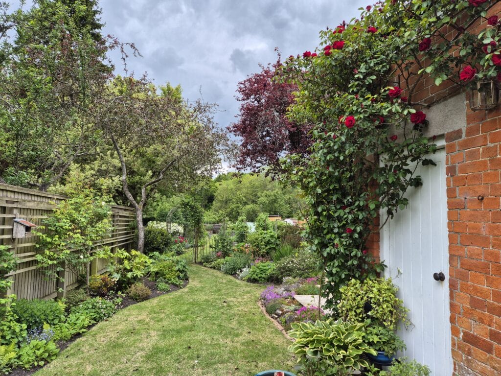 UK garden path with flower beds in June showing what to plant in June in the UK