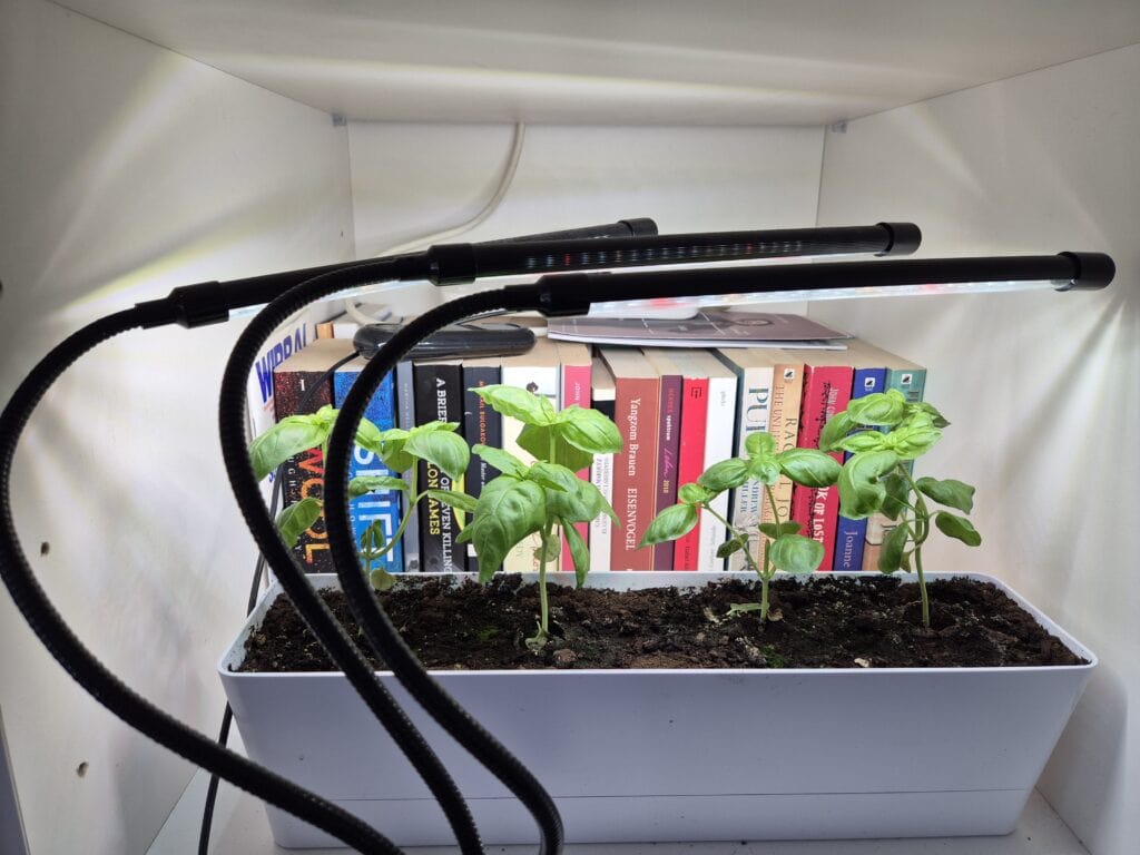 Wolezek gooseneck grow light review showing basil growing indoors under clip-on LED lights