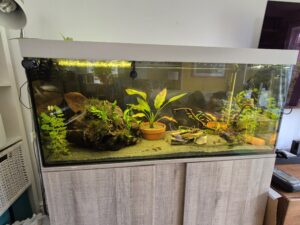 Can a solar generator run an aquarium during a power cut, shown with a 240 litre tropical fish tank using a filter, heater and LED light