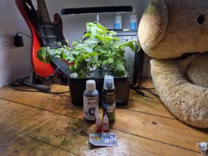 Hydroponic pH guide for beginners showing a small indoor hydroponic system with pH test kit and pH up and down bottles