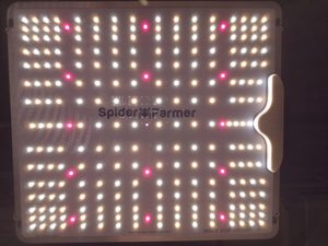 Spider Farmer SF1000 grow light review showing the LED panel