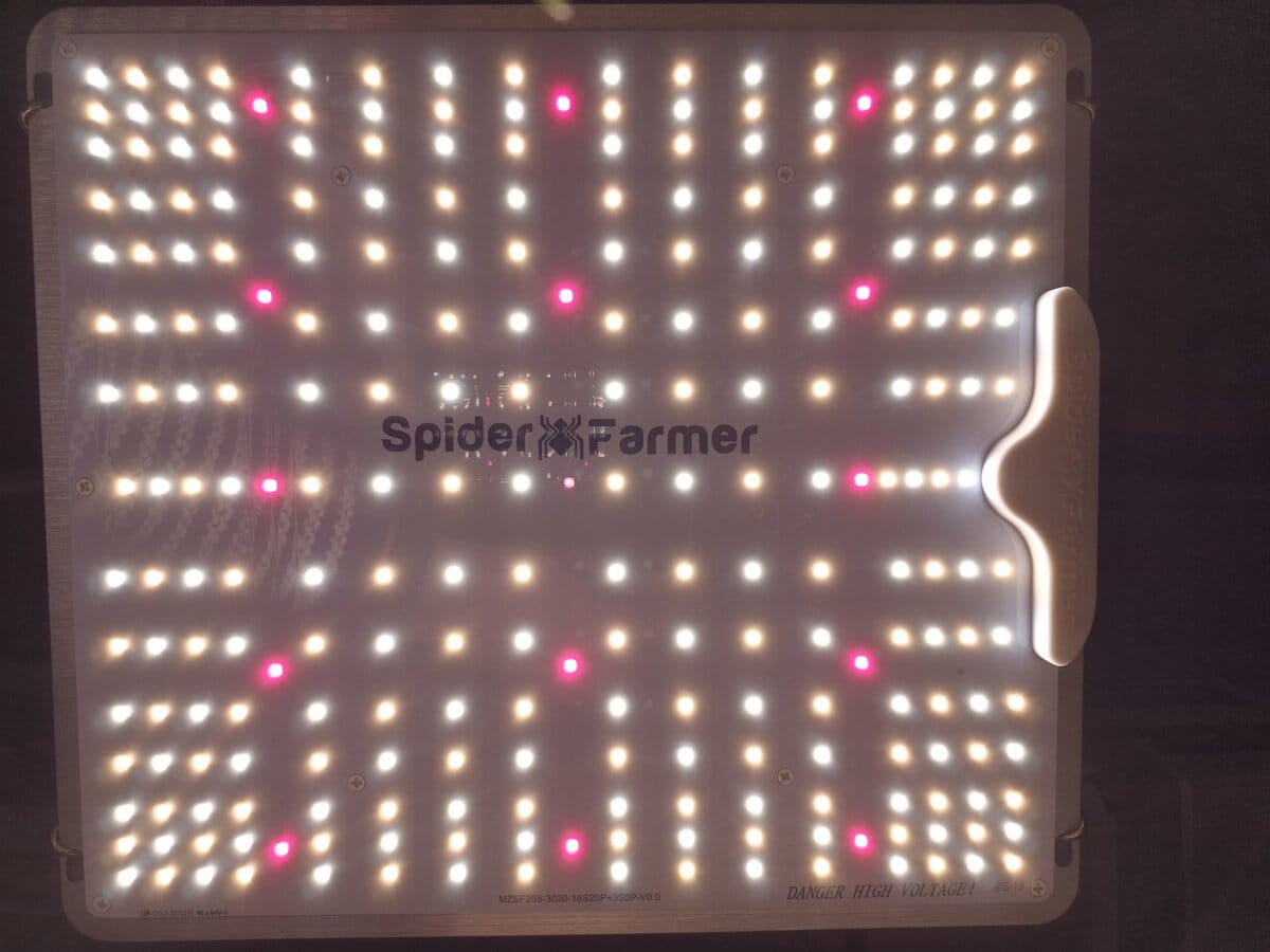 Spider Farmer SF1000 grow light review showing the LED panel